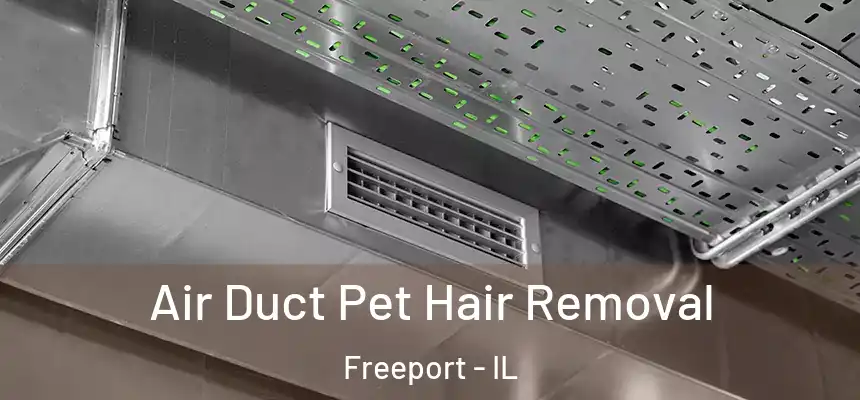  Air Duct Pet Hair Removal Freeport - IL