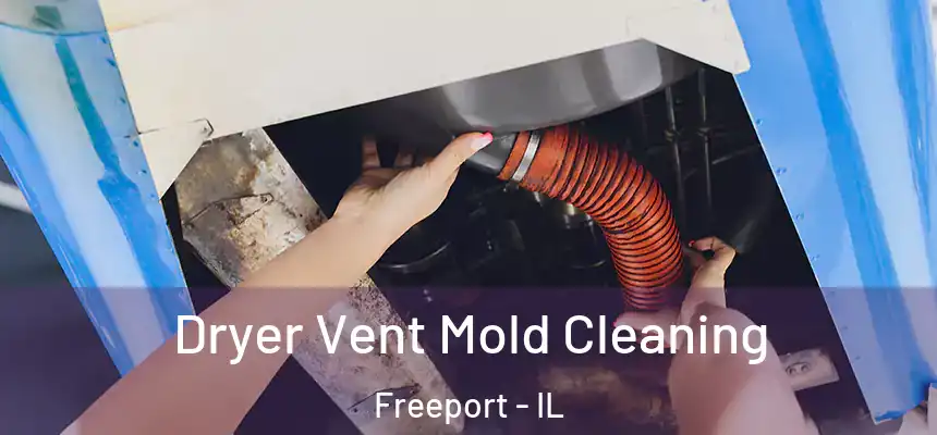  Dryer Vent Mold Cleaning Freeport - IL