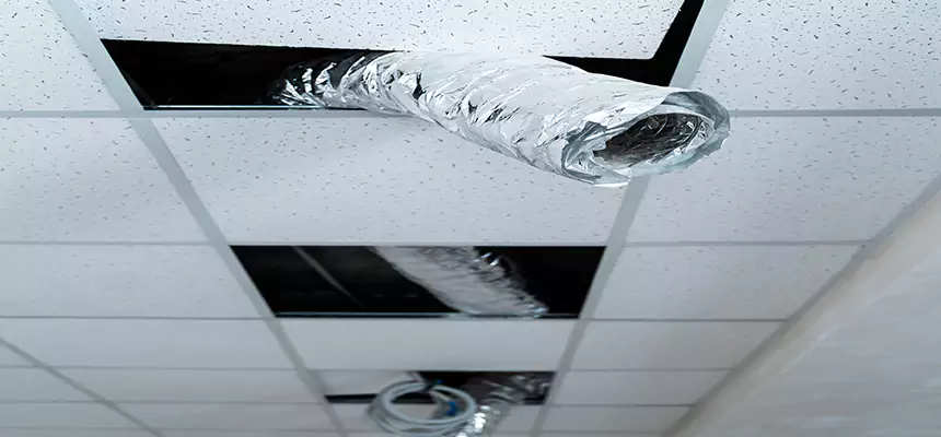 Our Air Duct Pet Hair Removal Services in Freeport, IL