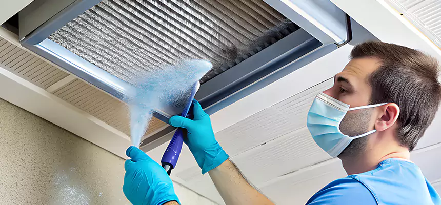 Proactive Dryer Vent & Auxiliary Duct Pollen Cleanup in Freeport, IL