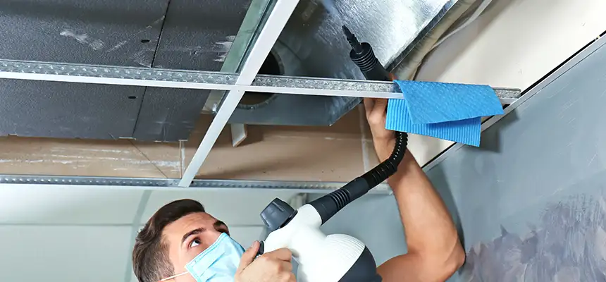 Our Air Duct Rodent Removal Services in Freeport, IL