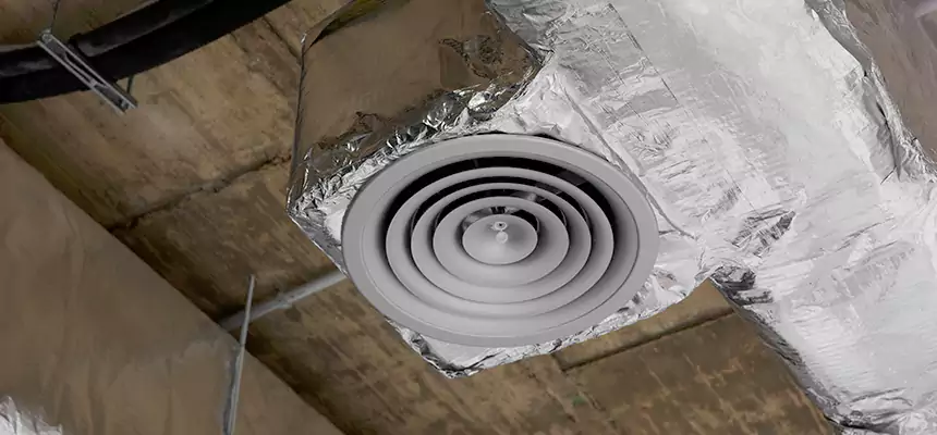 Our Excess Lint Removal from Dryer Ducts Services in Freeport, IL