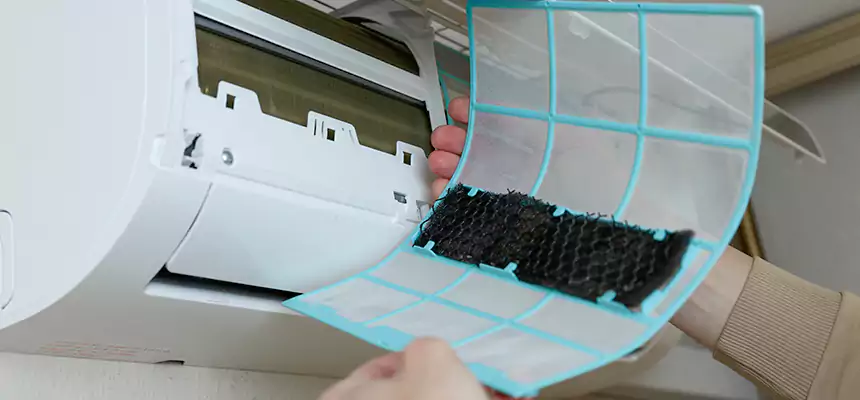 Gentle Ductwork Odor-Control Pet Dander Duct Cleaning in Freeport, IL