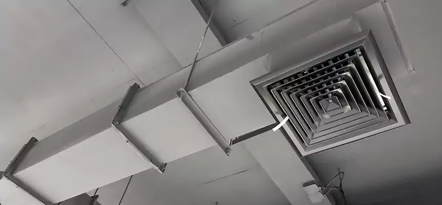 Our Rodent Droppings In Vents Services in Freeport, IL