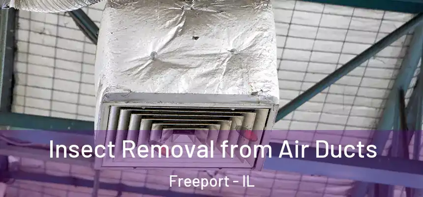  Insect Removal from Air Ducts Freeport - IL