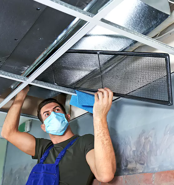 About Air Duct Bacteria Removal in Freeport