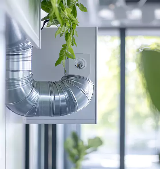 Professional Eco-Safe Dryer Vent Cleaning in Freeport, IL