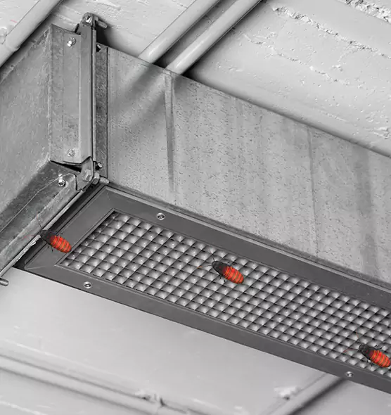Affordable Insect Removal from Air Ducts in Freeport, IL