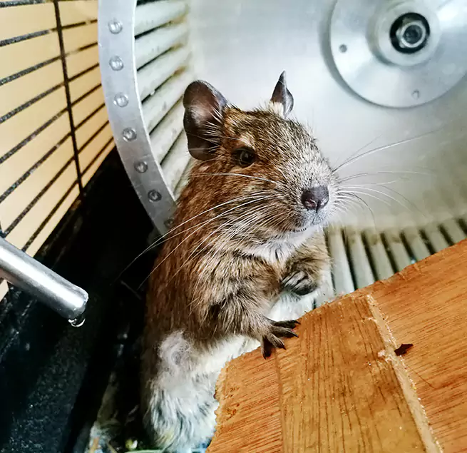 Why Homeowners & Businesses Trust Us Freeport, IL?