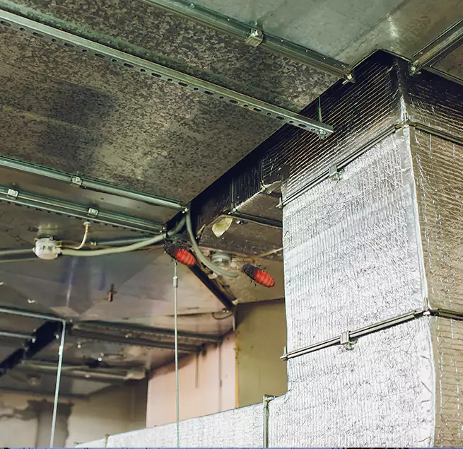 Why Homeowners & Businesses Trust Us Freeport, IL?